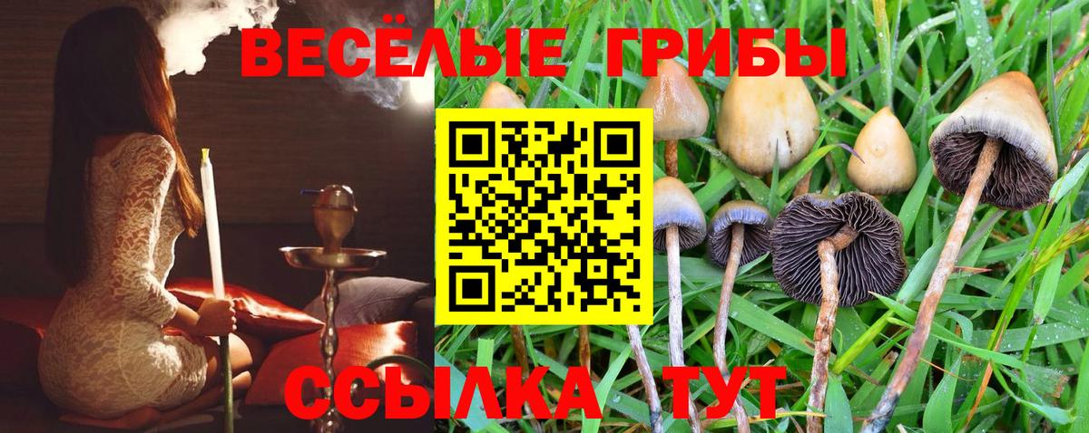 Псилоцибиновые грибы MAGIC MUSHROOMS  Вход с VPN  Клин 