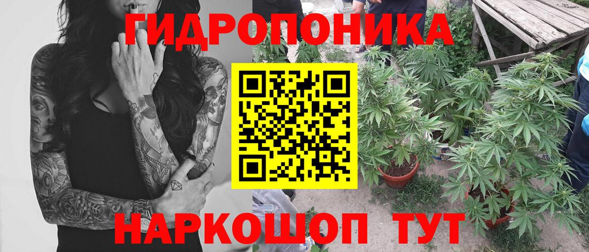 Шишки марихуана VHQ Клин